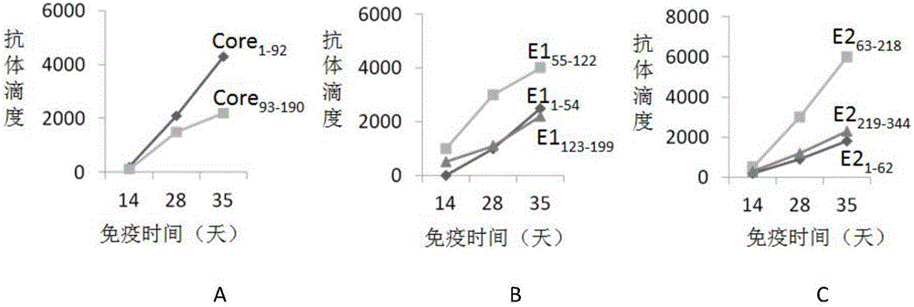 Hepatitis C virus fusion antigen protein and application thereof