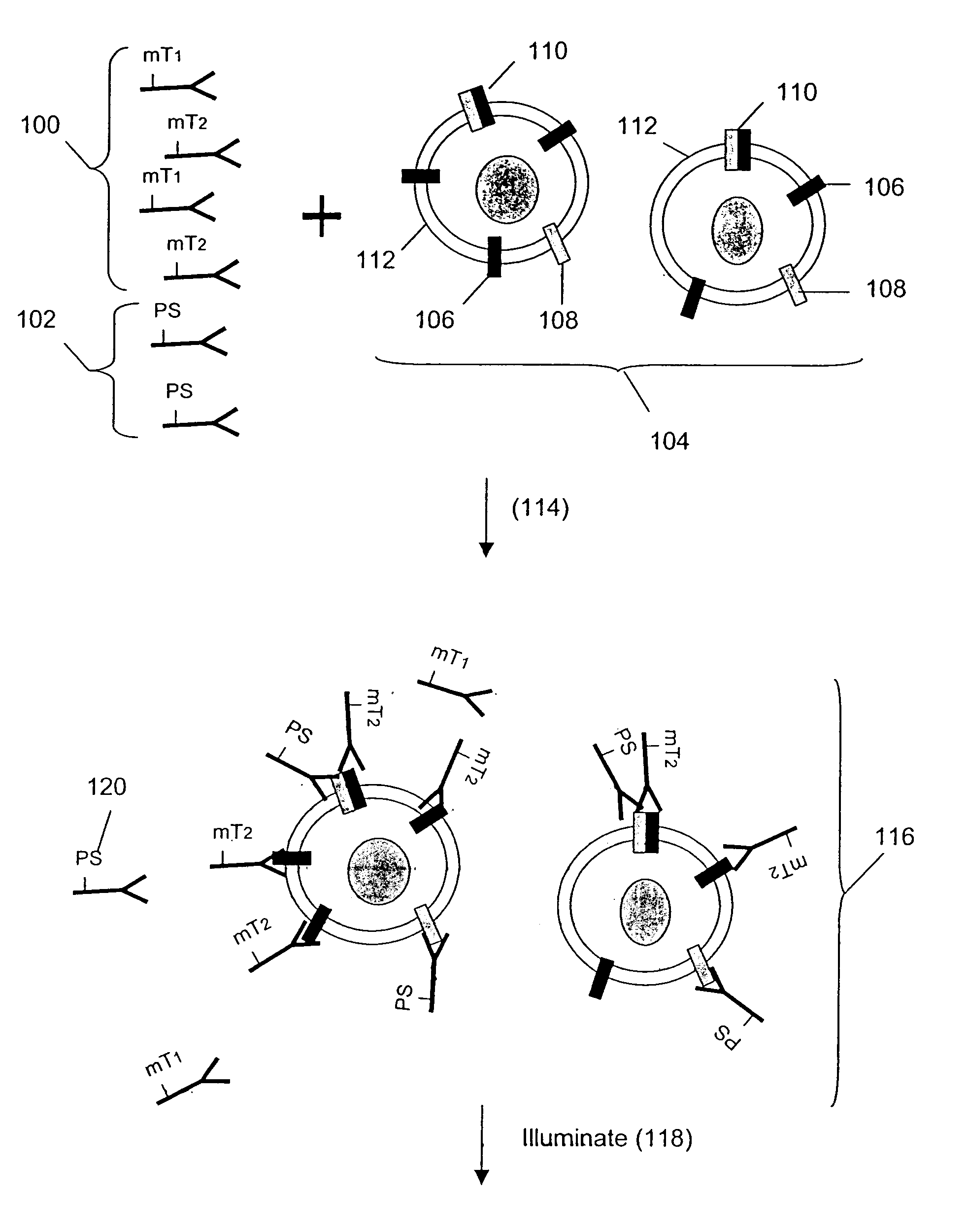 Detecting receptor oligomerization