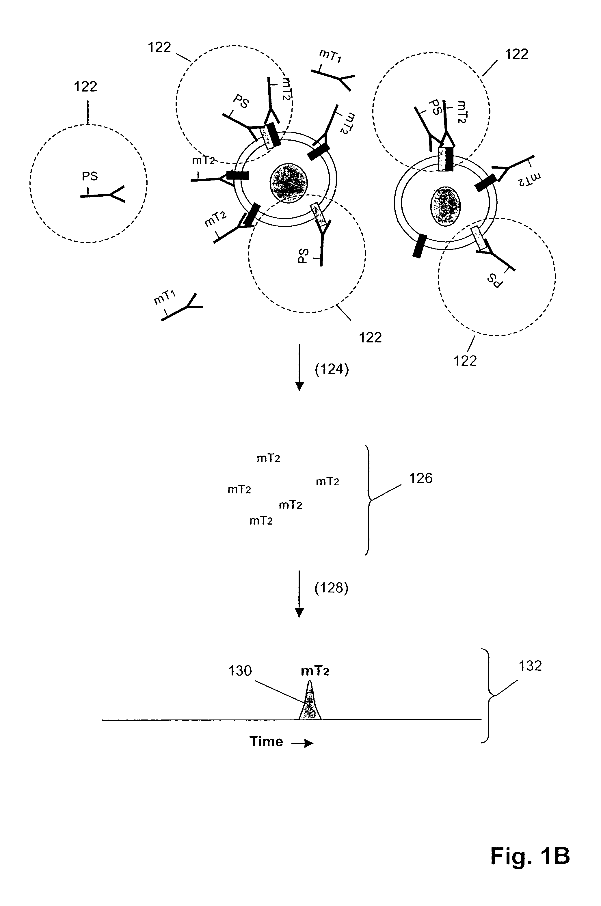 Detecting receptor oligomerization