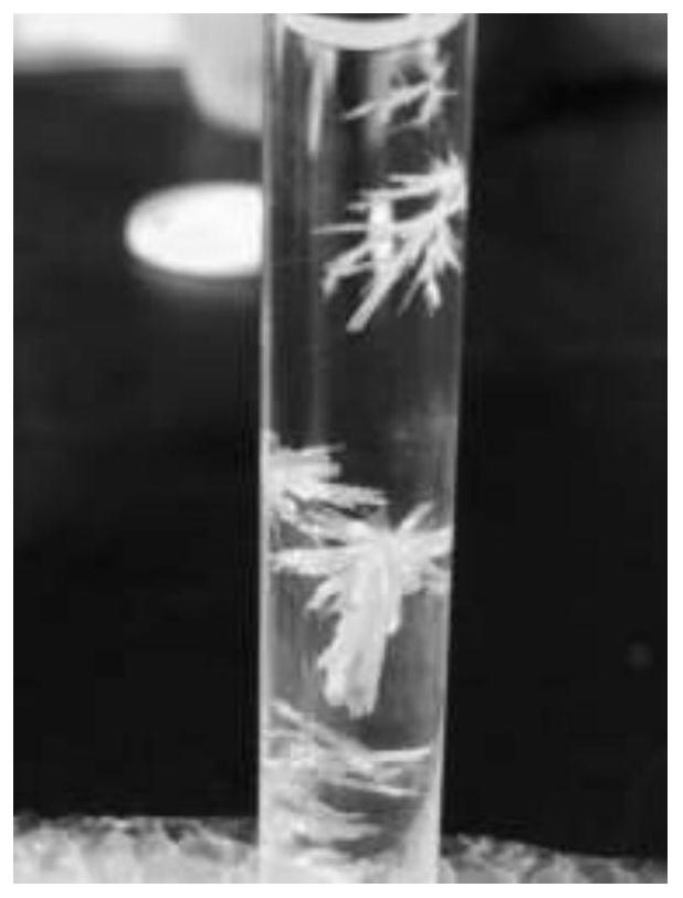 A kind of preparation method of bicyclic cationic complex metal iridium-pyridazine crystal material