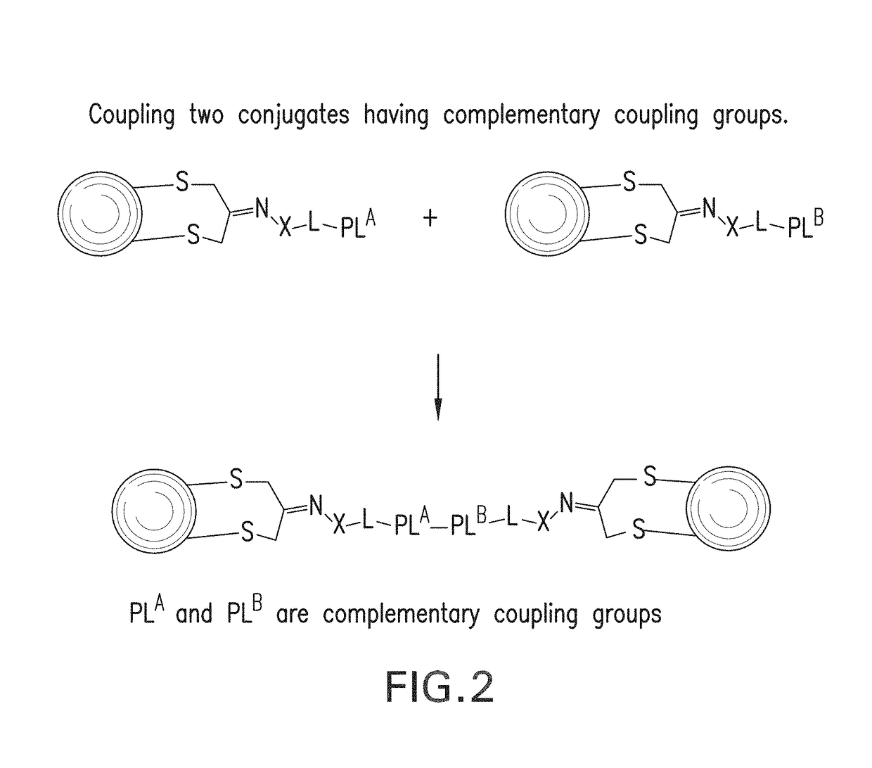 Methods for making conjugates from disulfide-containing proteins