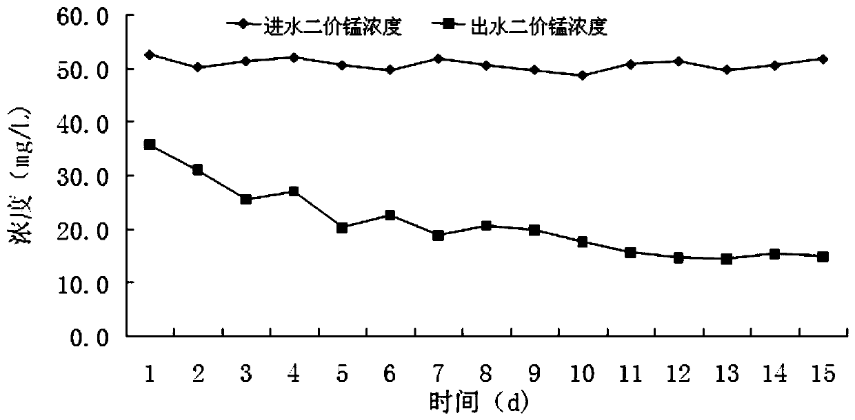 A method for simultaneous removal of manganese and nitrate in groundwater