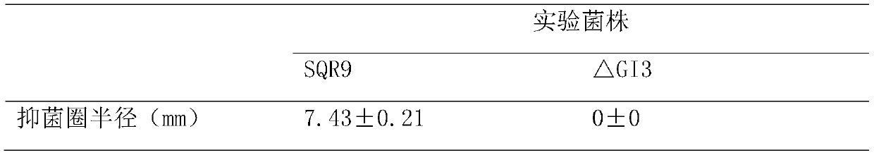 A sixteen-carbon chain fatty acid antagonist produced by Bacillus amyloliquefaciens sqr9 and its application