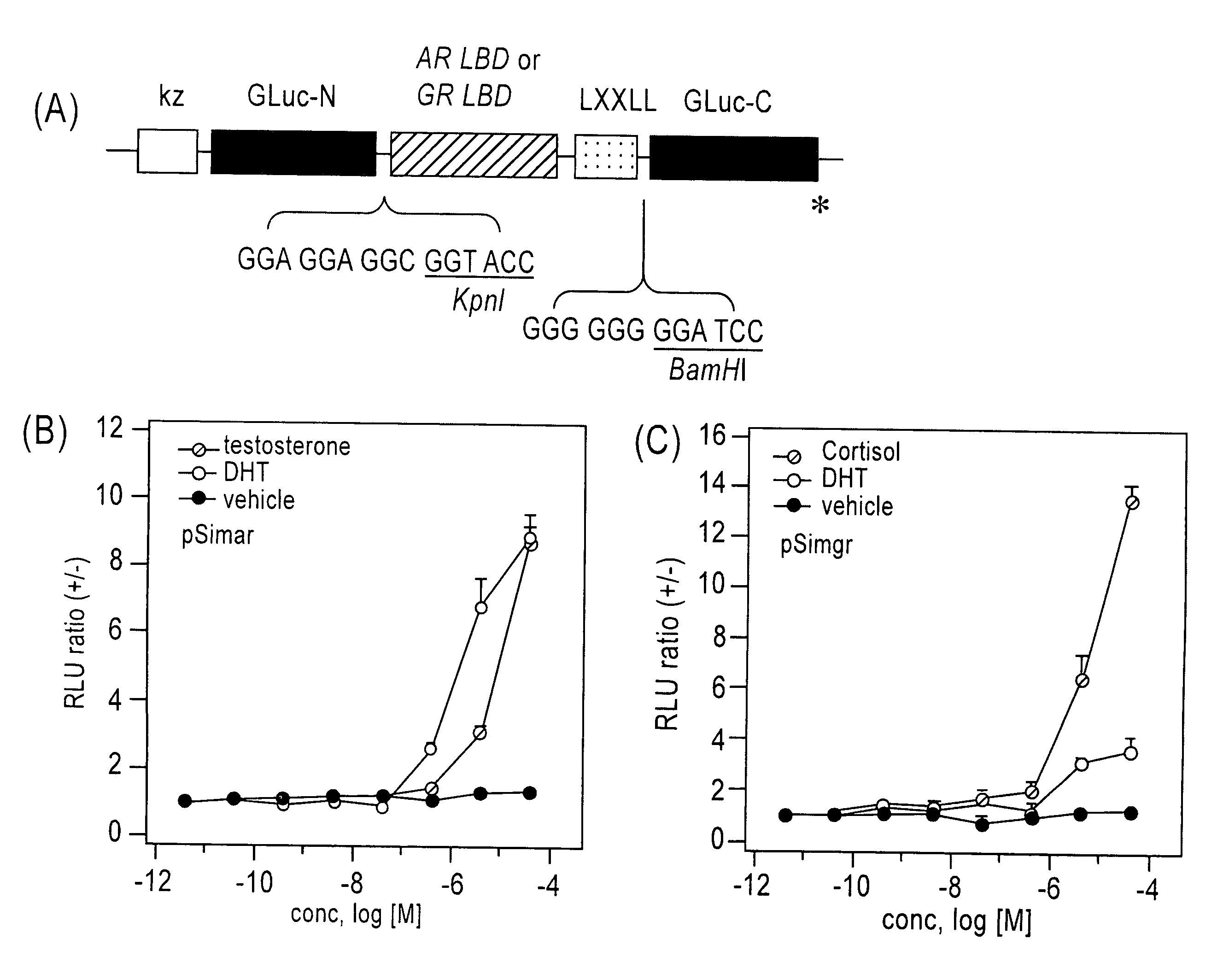 Single-molecule-format real-time bioluminescence imaging probe