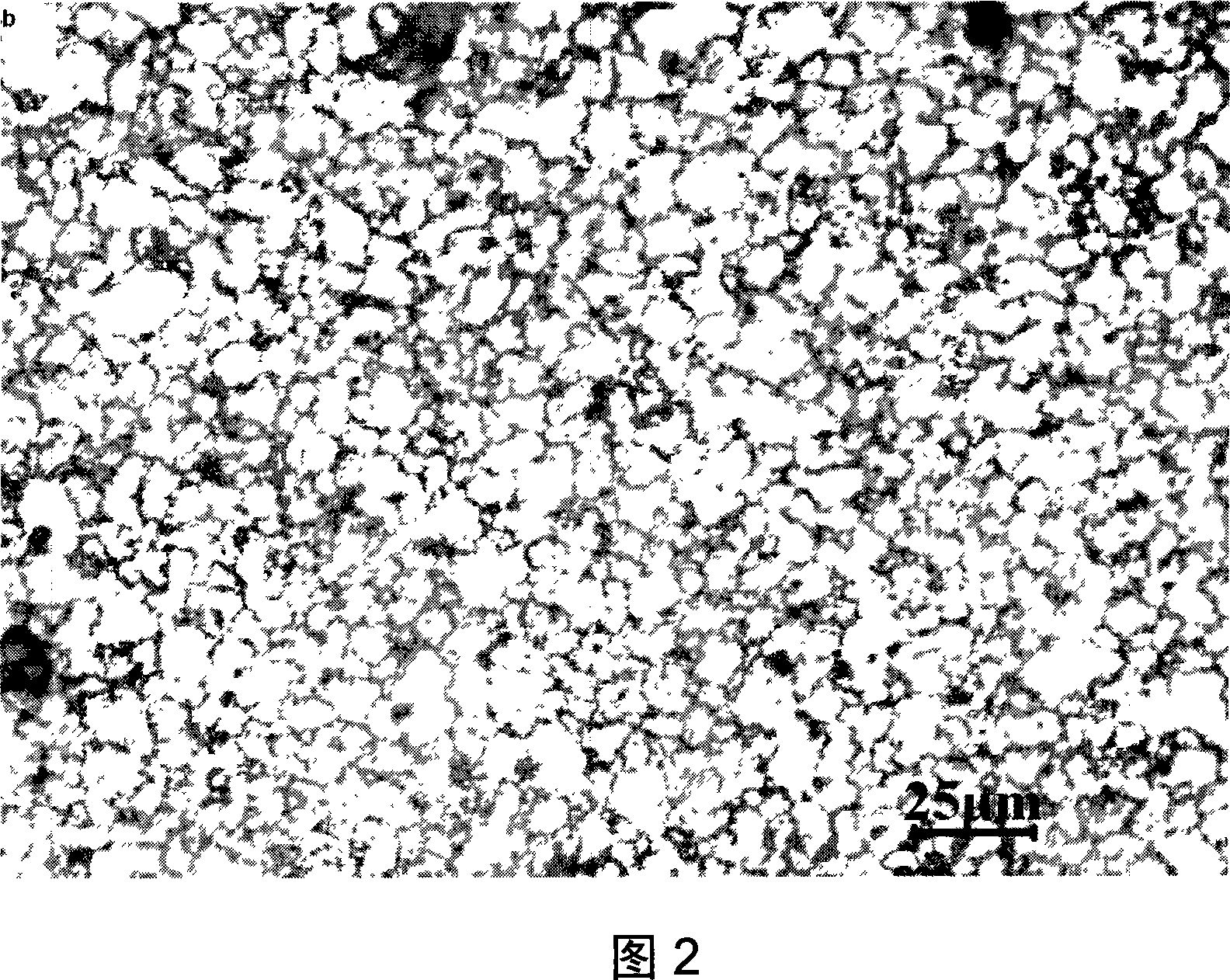 Method of preparing thin crystal layer on magnesium alloy surface