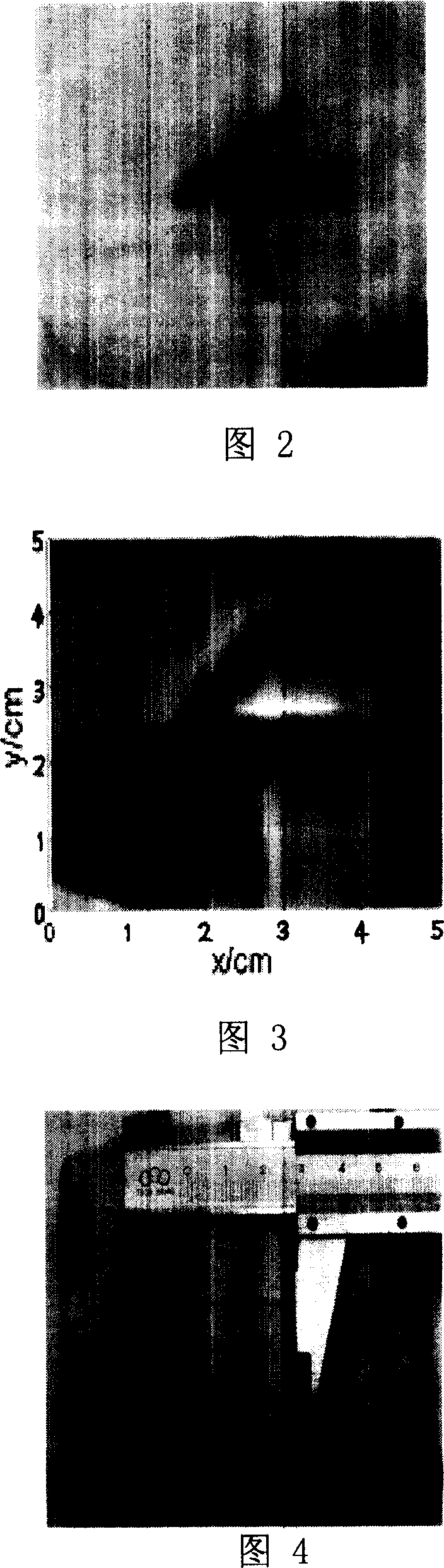 Foreign body detecting method using thermoacoustic imaging and device thereof