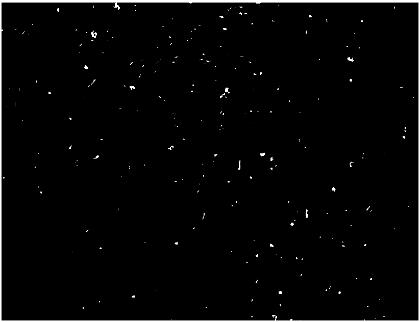 Method for adsorbing and separating extracellular vesicles including exosomes secreted to medium by cells based on anion exchange resin