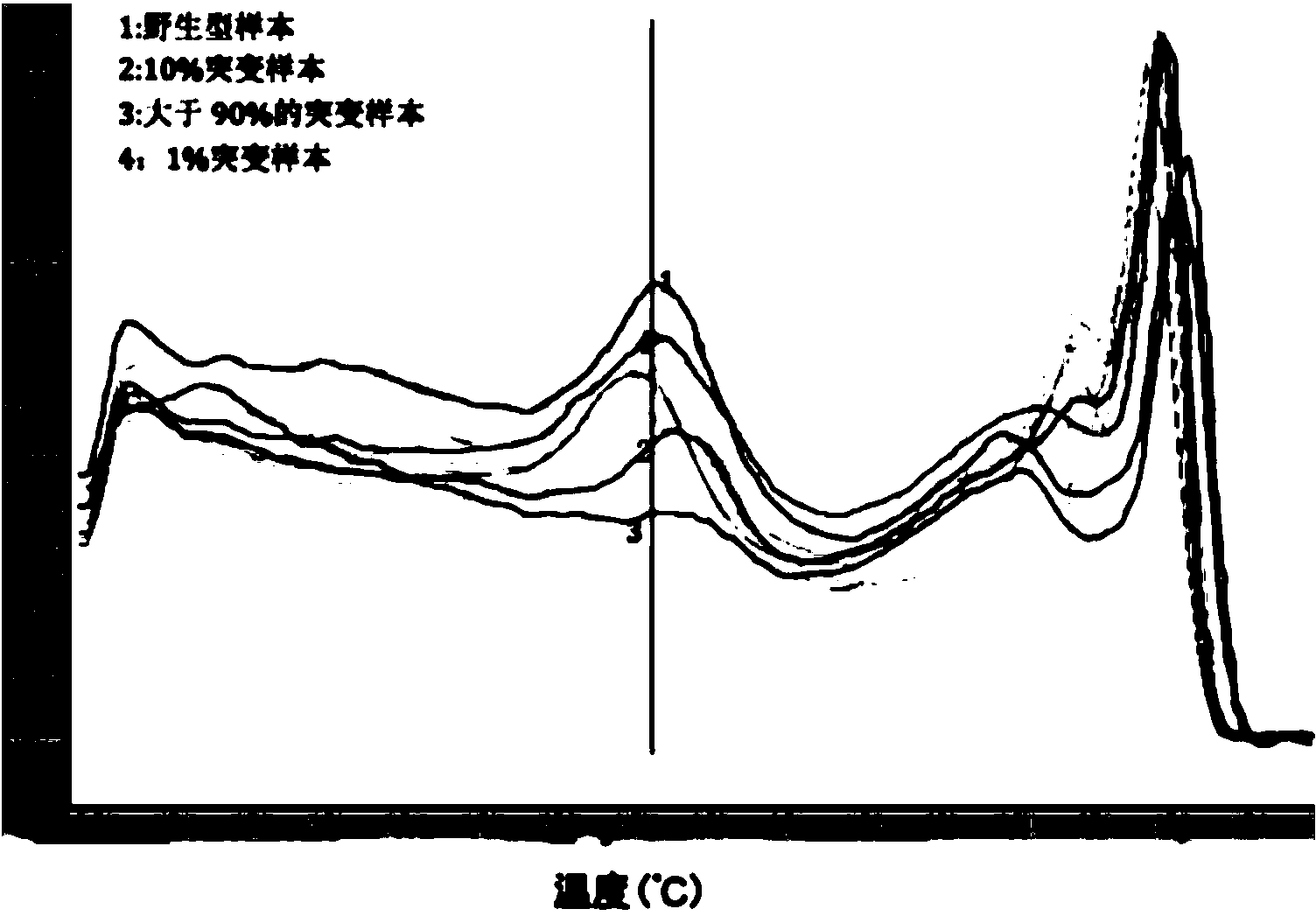 Low-frequency mutation detection method based on snapback primer technology