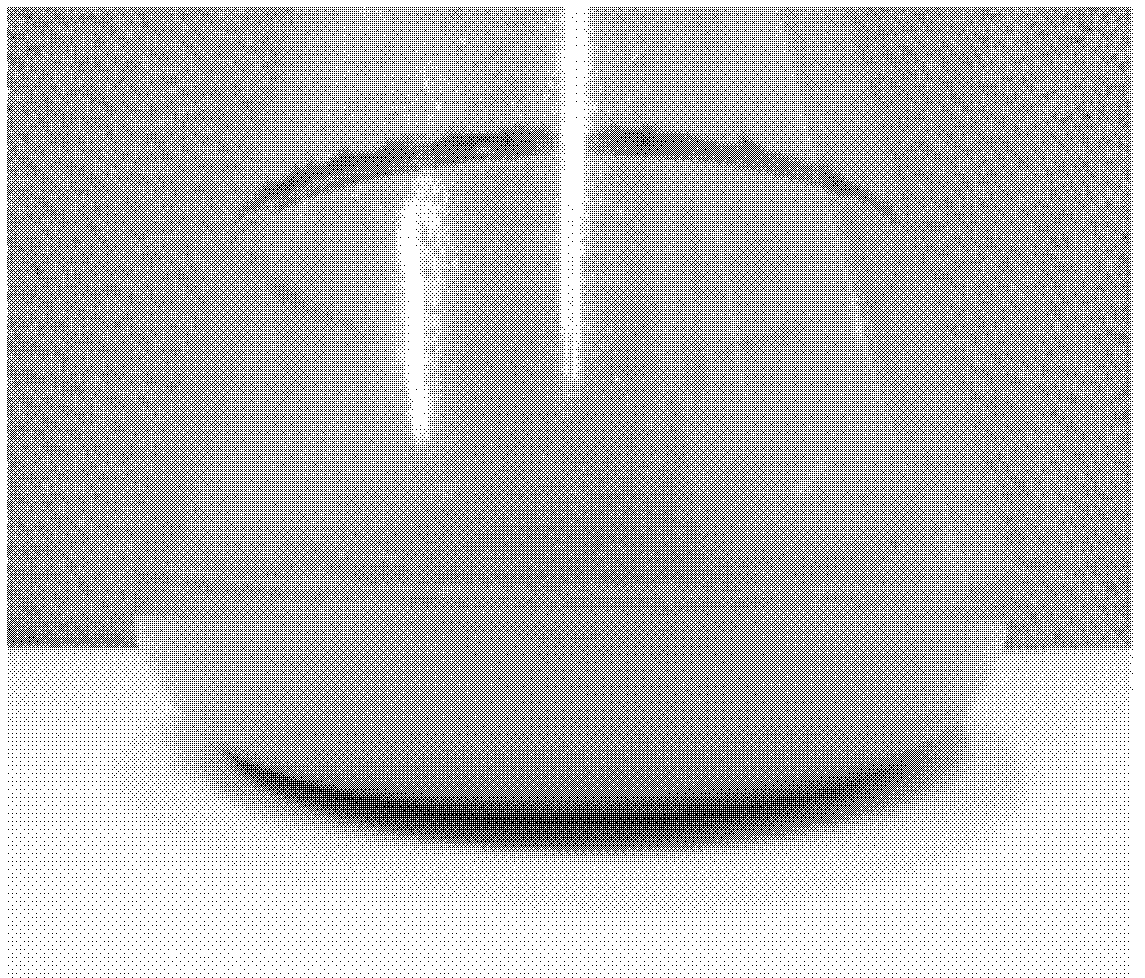 Strain culture solution for preventing root knot nematode and preparation method thereof