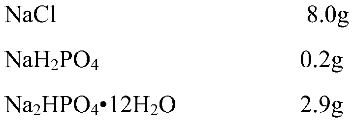 Kit for detecting short-chain fatty acid and application thereof