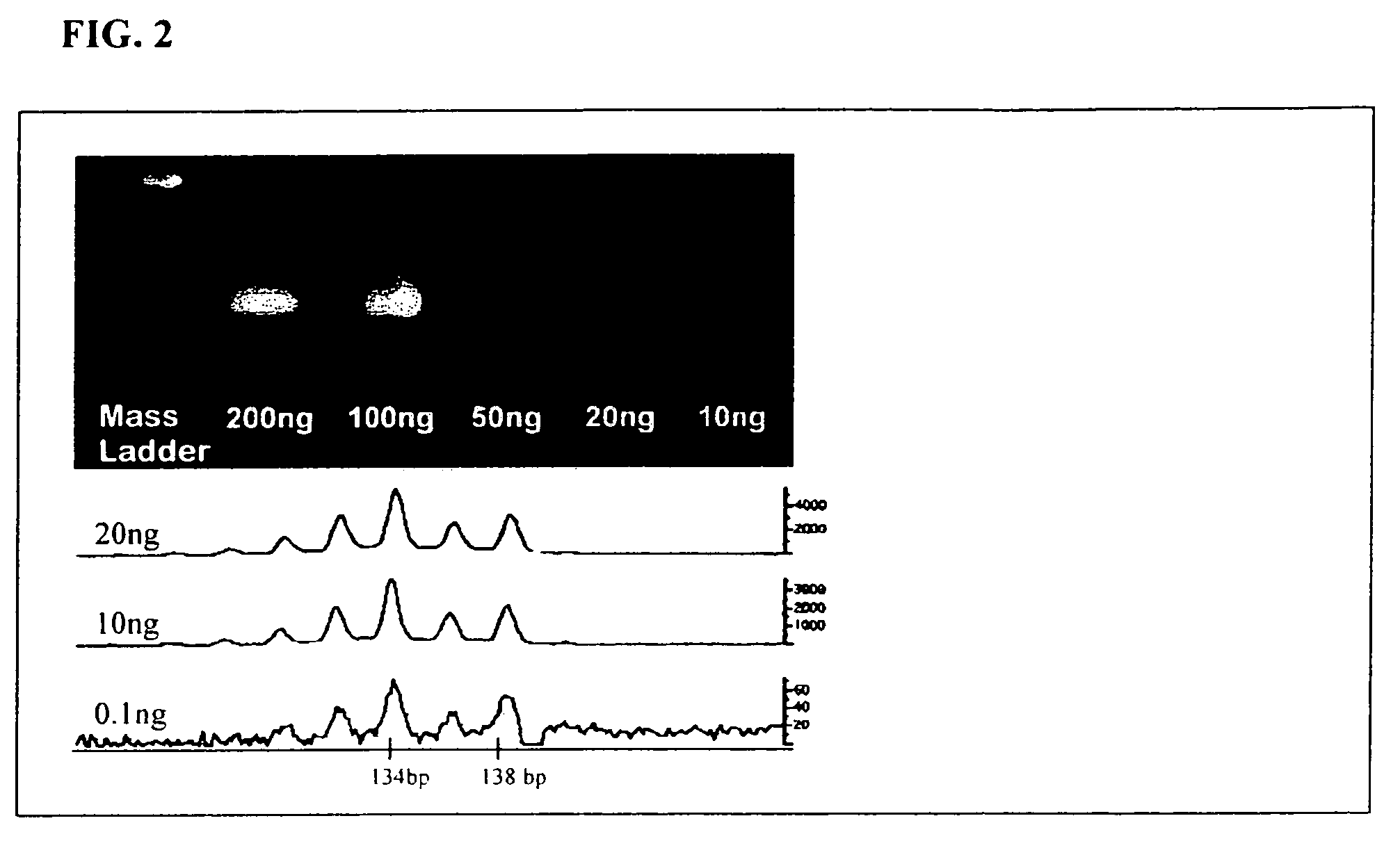 Methods for detecting circulating mutant BRAF DNA