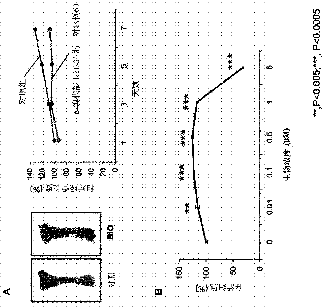 Pharmaceutical composition containing indirubin derivative as active ingredient