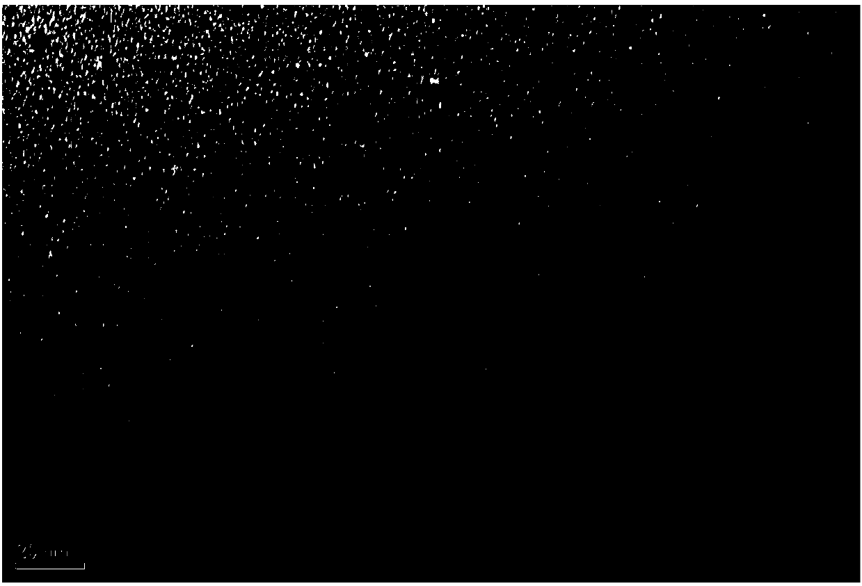 Red fluorescent carbon quantum dots used for detecting pH in cells and preparation method thereof