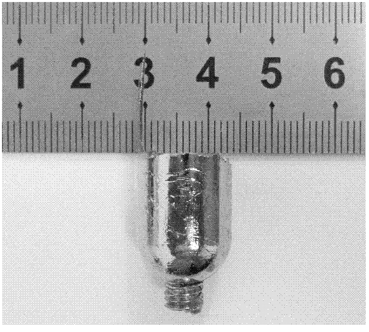 Ce-based amorphous alloy and preparation method thereof