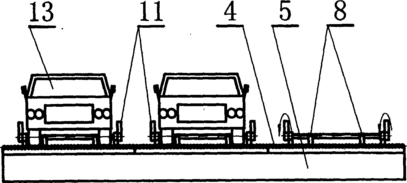 Vehicle separate positioning placing-taking device with car door protecting unit