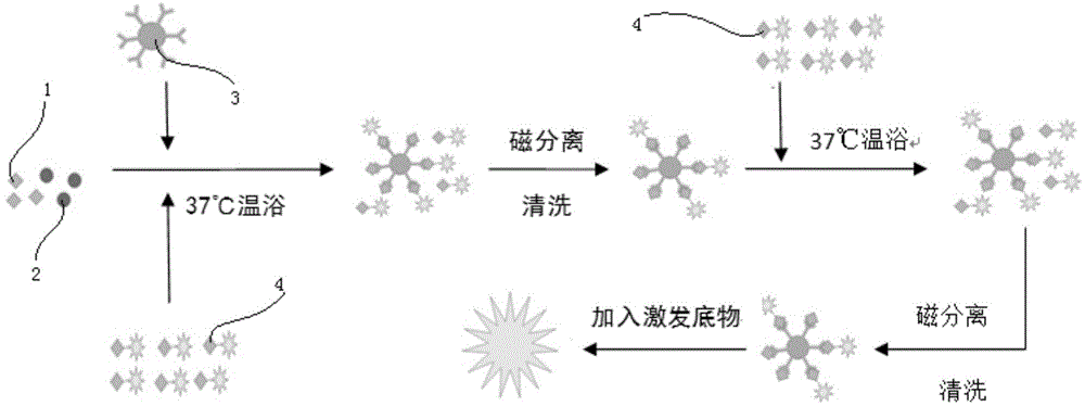 Kit for detecting hepatitis B surface antigen and detection method and application of kit