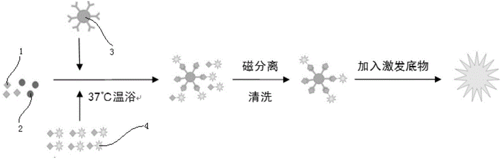 Kit for detecting hepatitis B surface antigen and detection method and application of kit