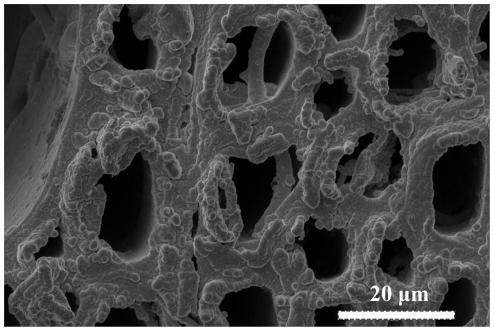 Preparation method and application of a derivatized functional porous wood for electrolyzing water to produce hydrogen