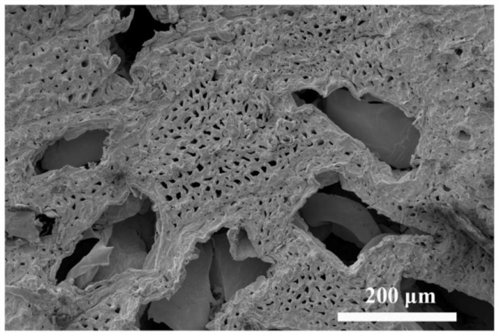 Preparation method and application of a derivatized functional porous wood for electrolyzing water to produce hydrogen