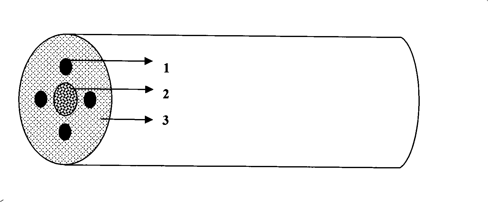 Light and electricity co-transmission fiber and manufacturing method thereof