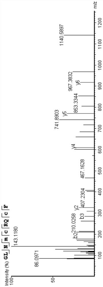 Bioactive peptide GLNMCRQCF as well as preparation method and application thereof