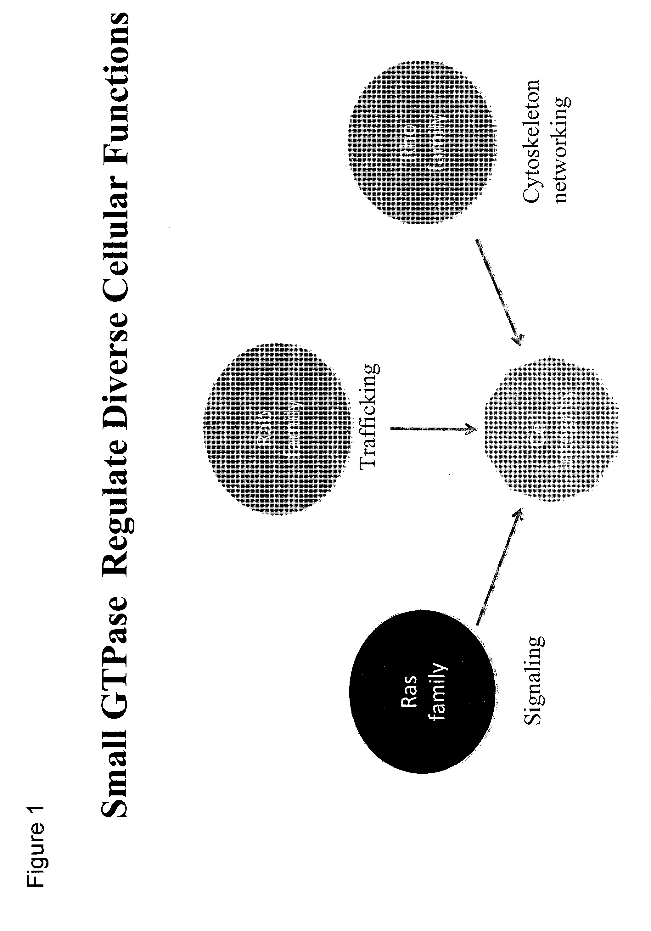 Rab7 GTPase inhibitors and related methods of treatment