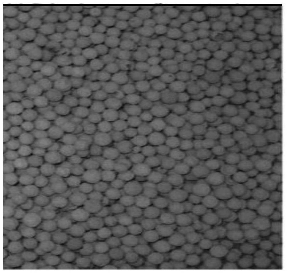 Novel lightweight high-porosity ceramic filter material and preparation method thereof