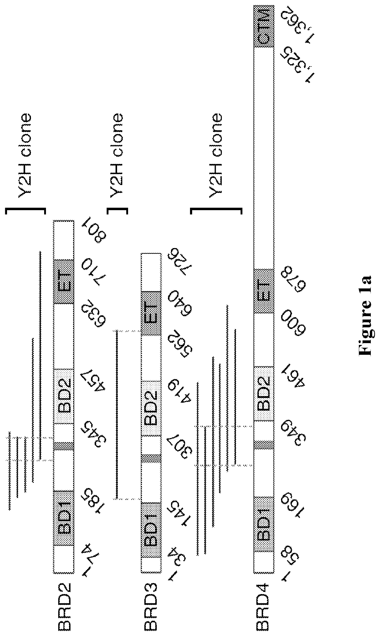 Methods and materials for identifying and treating bet inhibitor-resistant cancers