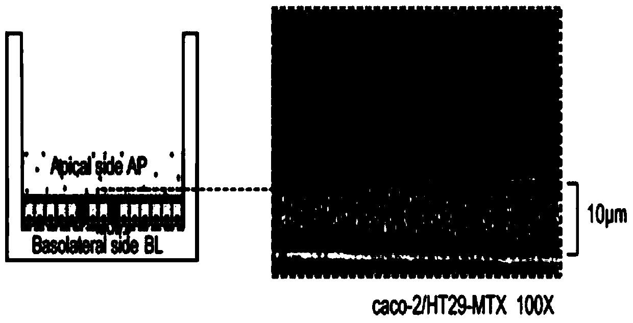 Establishment method of heavy metal oral bioaccessibility detection system