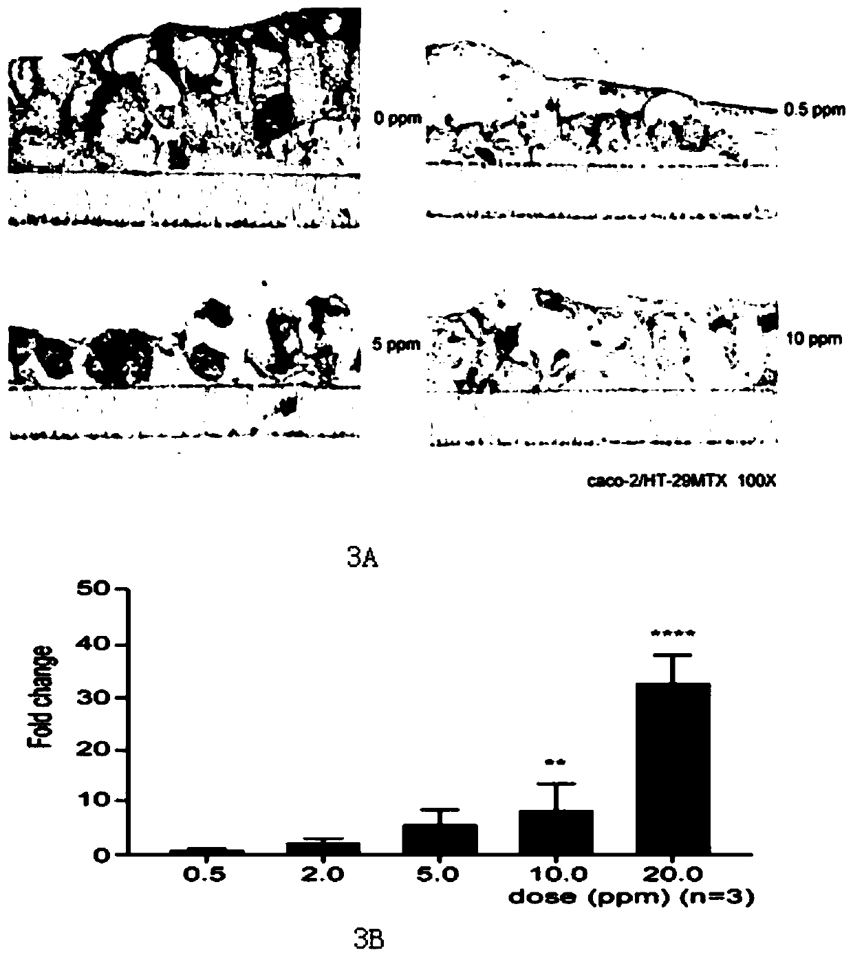 Establishment method of heavy metal oral bioaccessibility detection system