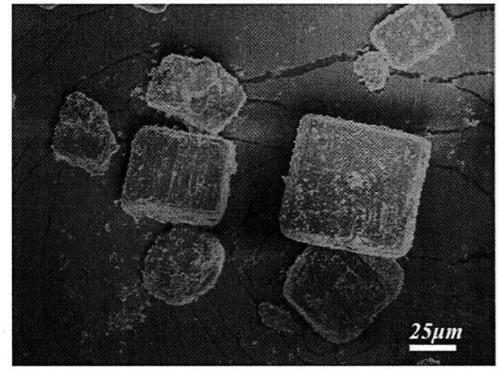 Preparation method of rod-shaped [alpha]-calcium sulfate hemihydrate whiskers