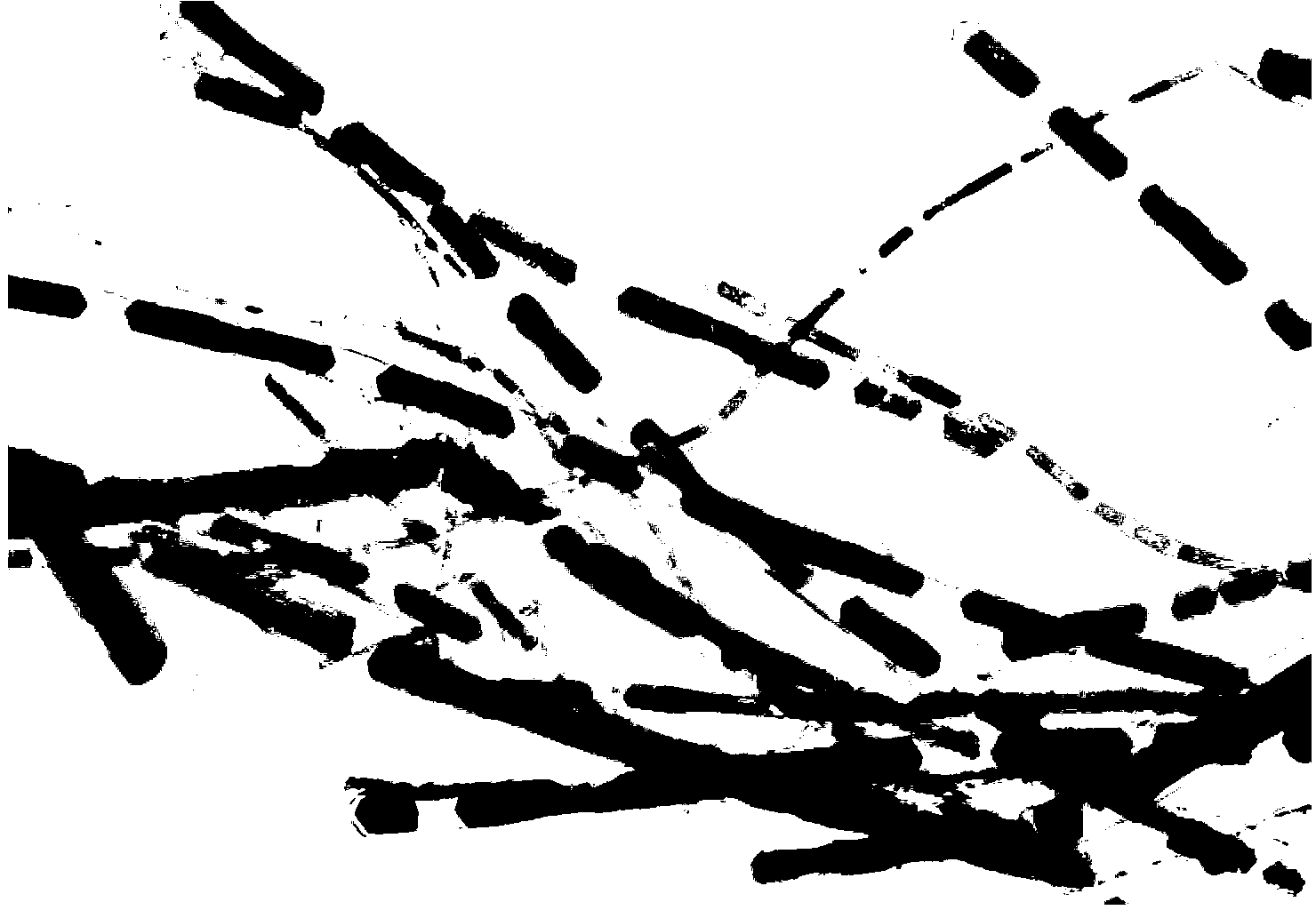 Legume-shaped carbon-coated manganese oxide core-shell structure composite material and preparation method and application thereof