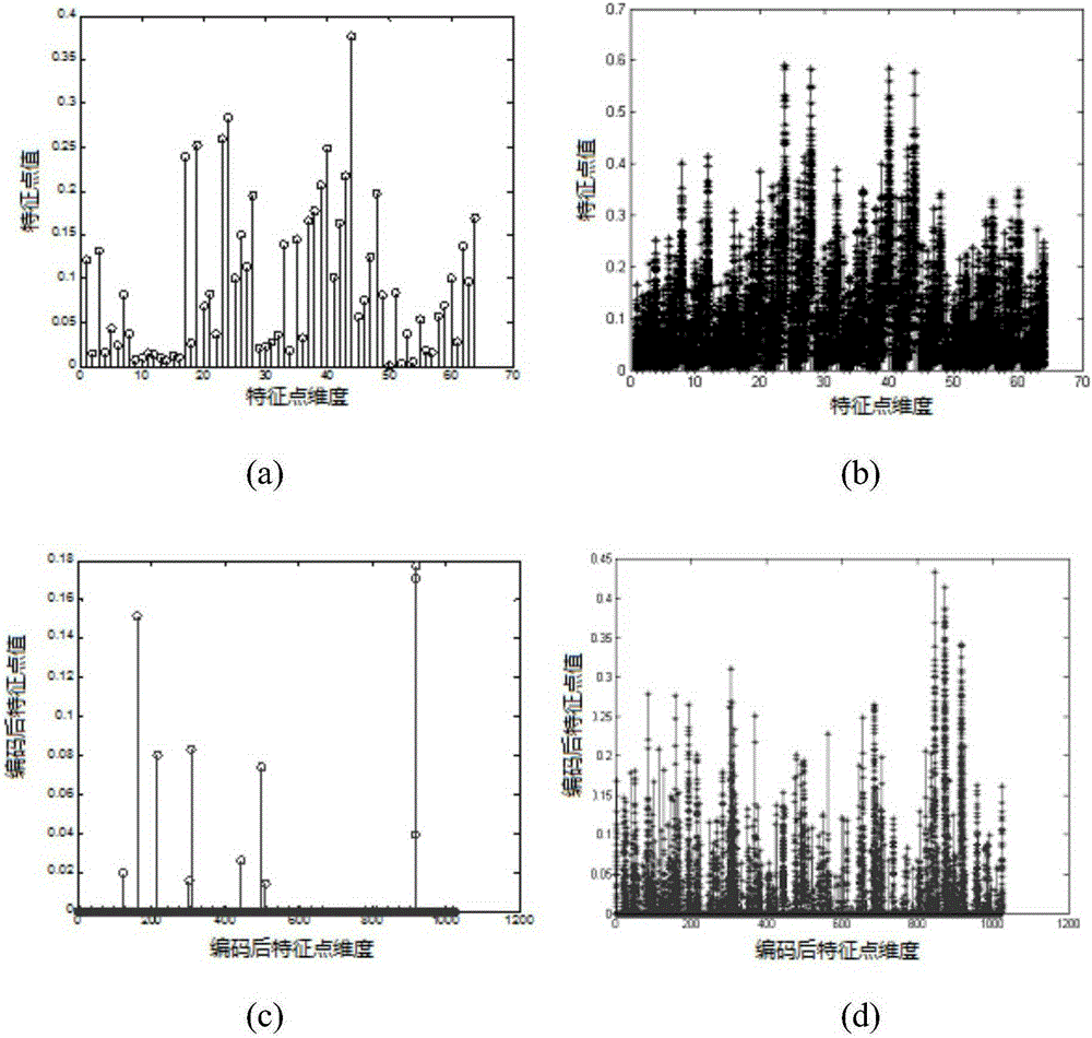 Video fingerprint extraction method based on sparse coding