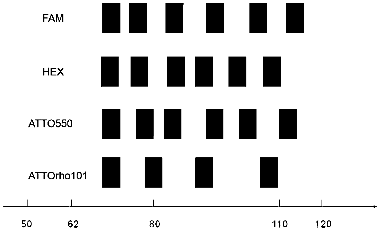 Kit for synchronous detection of twenty three respiratory pathogens and detection method thereof