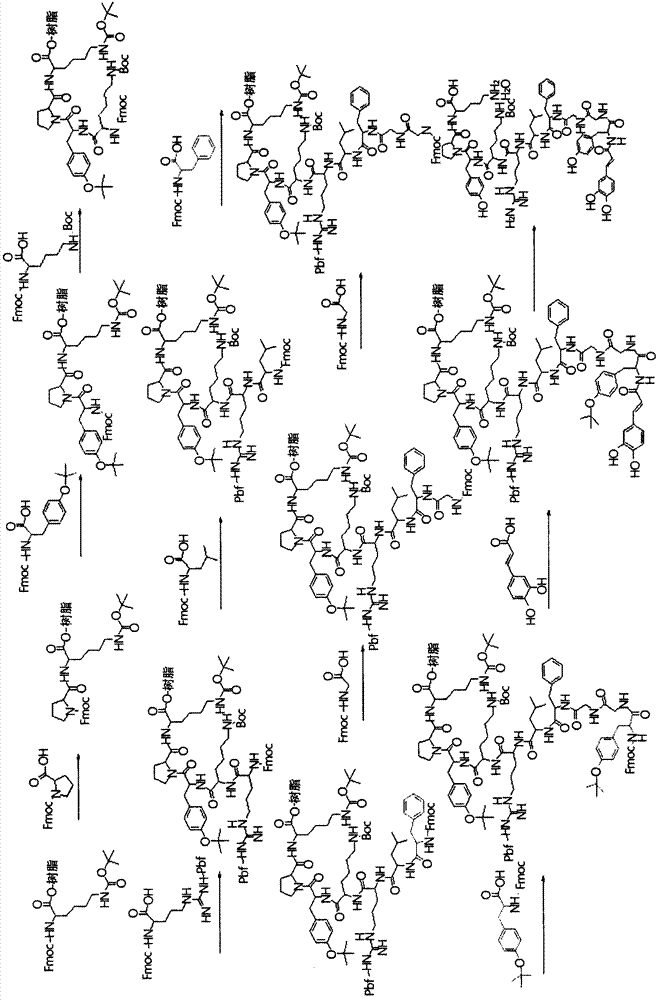 Caffeoyl-alpha-neoendorphin peptide derivative and use thereof as an anti-itch and anti-atopic material