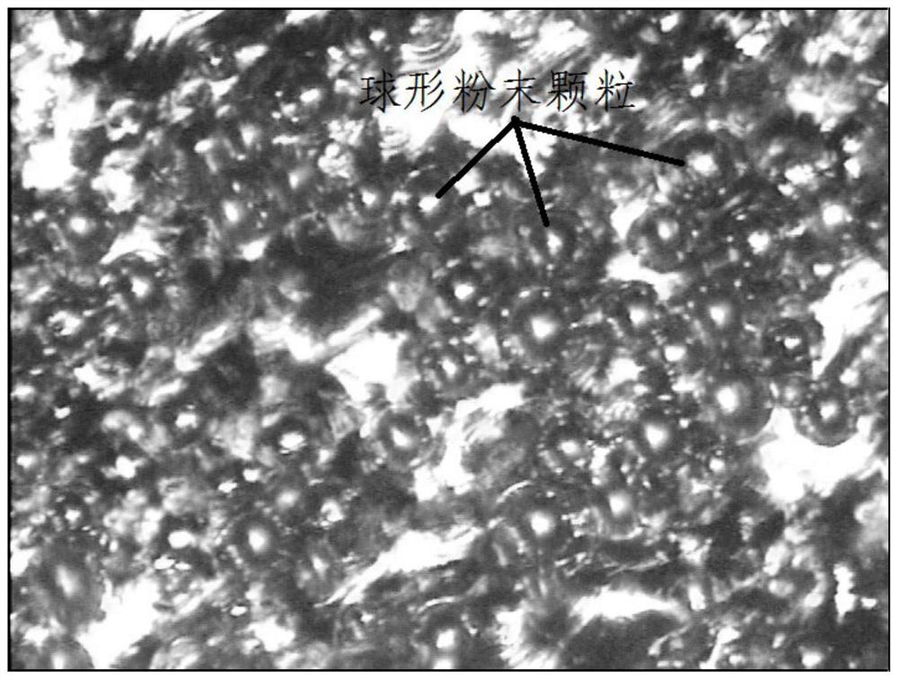 Method for preparing bioactive coating on surface of 3D printed titanium or titanium alloy