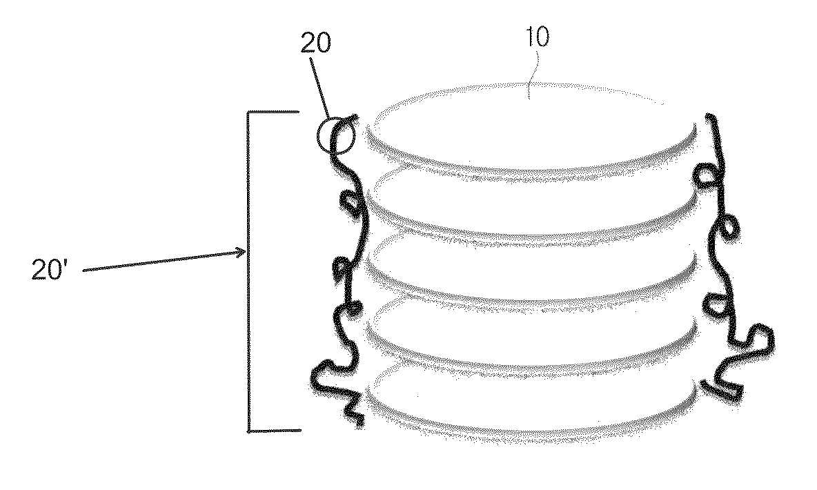 Lyotropic chromonic liquid crystal composition, method for manufacture of lyotropic chromonic liquid crystal coating film, and lyotropic chromonic liquid crystal coating film manufactured thereby