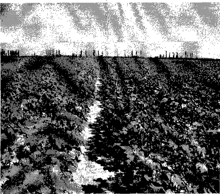 Multifunctional biological seed coating agent and preparation method thereof