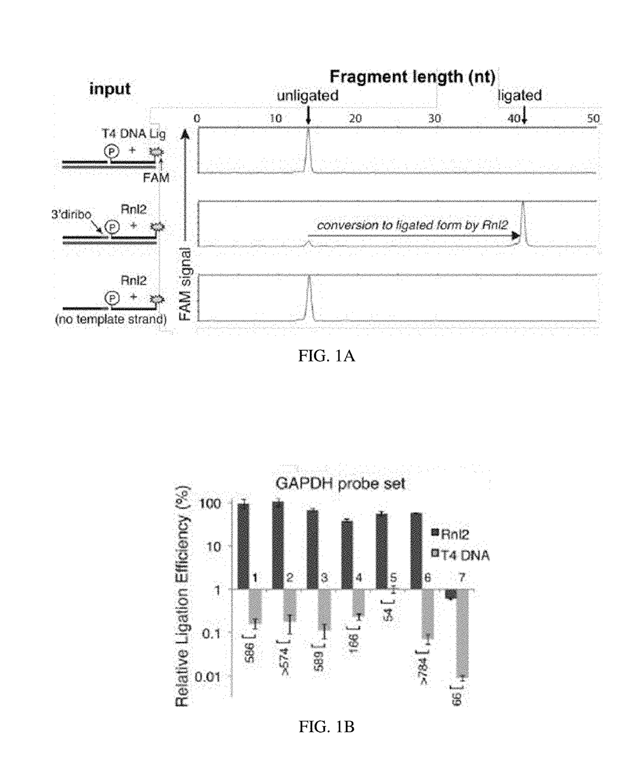 Compositions and methods of RNA analysis