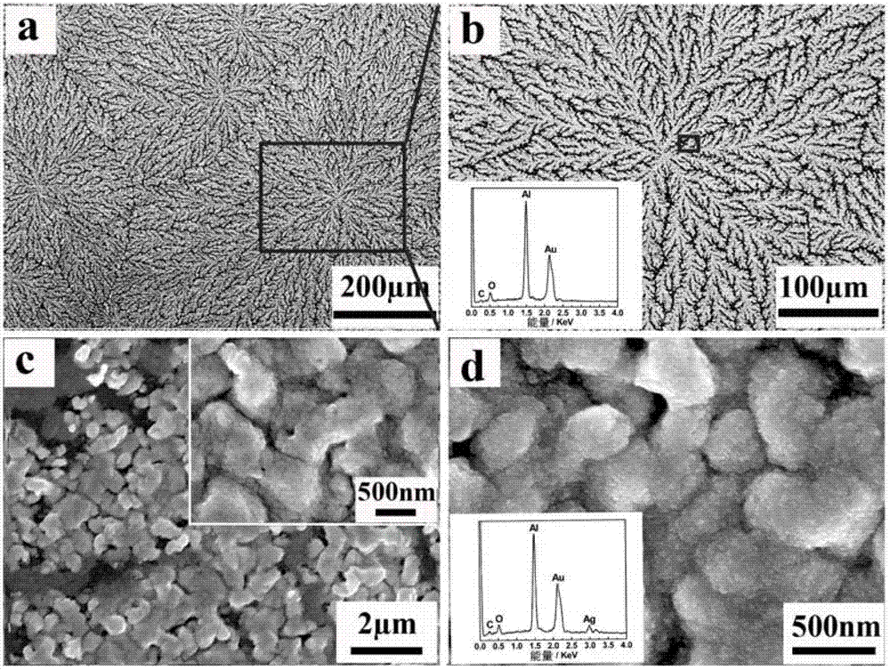 Gold micron feather cluster modified with silver nanoparticles and preparation method and application thereof