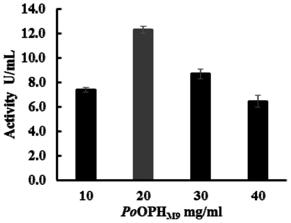 Preparation of malathion hydrolase by immobilization method of cross-linked enzyme aggregates