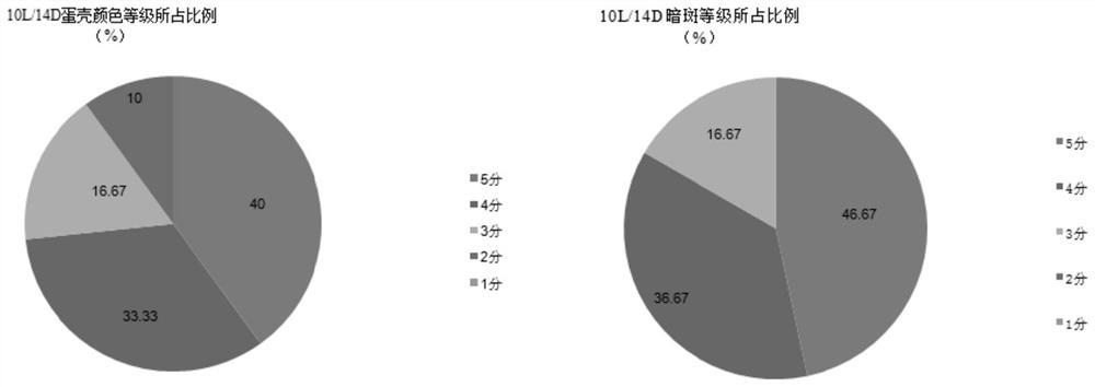 Illumination method for improving eggshell quality in later egg laying period of laying hens