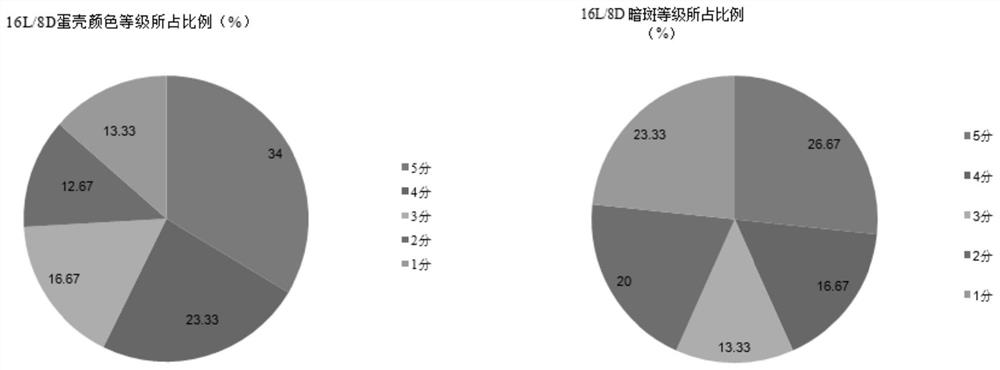 Illumination method for improving eggshell quality in later egg laying period of laying hens