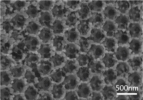 An in situ molecularly imprinted functionalized cds/3dom TiO  <sub>2</sub> Photoelectric analysis method of benzopyrene at /BDD electrode