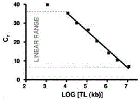 Method for screening anti-aging traditional Chinese medicine by virtue of telomere length