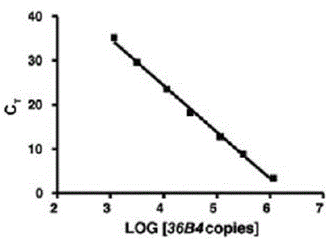 Method for screening anti-aging traditional Chinese medicine by virtue of telomere length