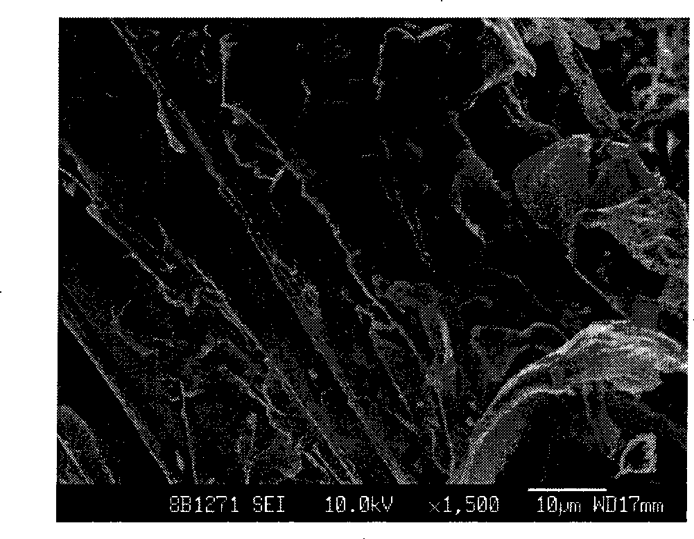 Polluted water body heavy metal adsorption material and preparation method thereof