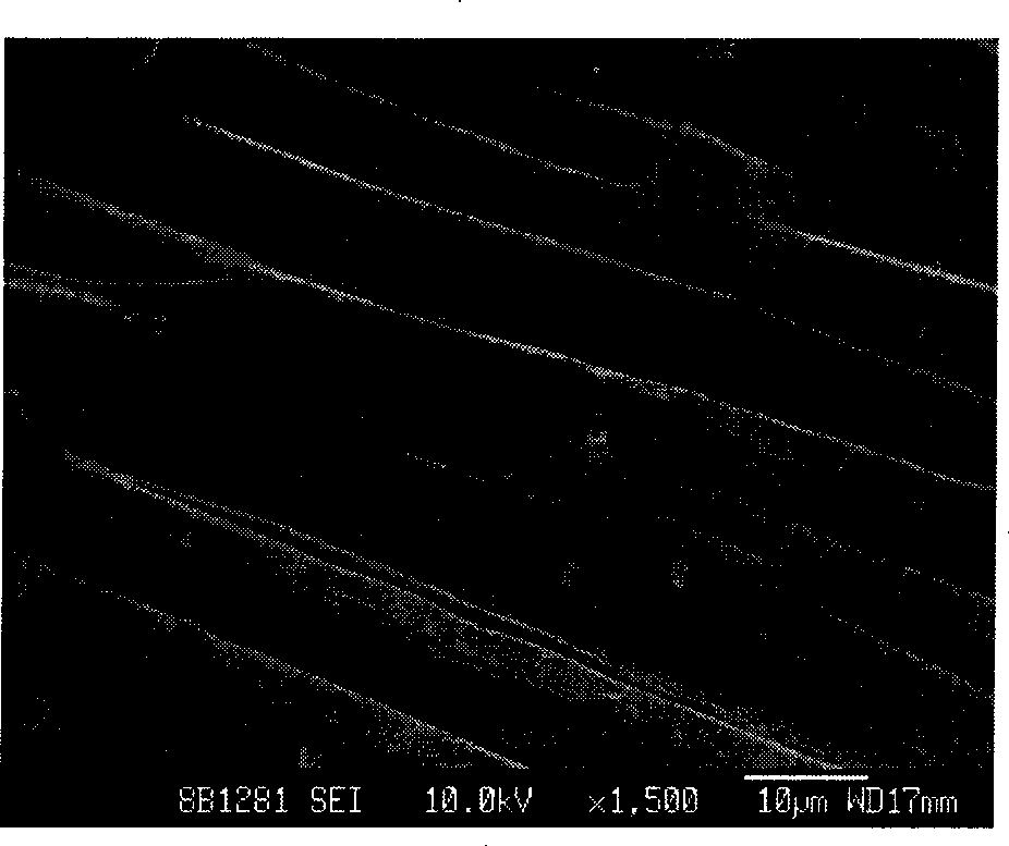 Polluted water body heavy metal adsorption material and preparation method thereof