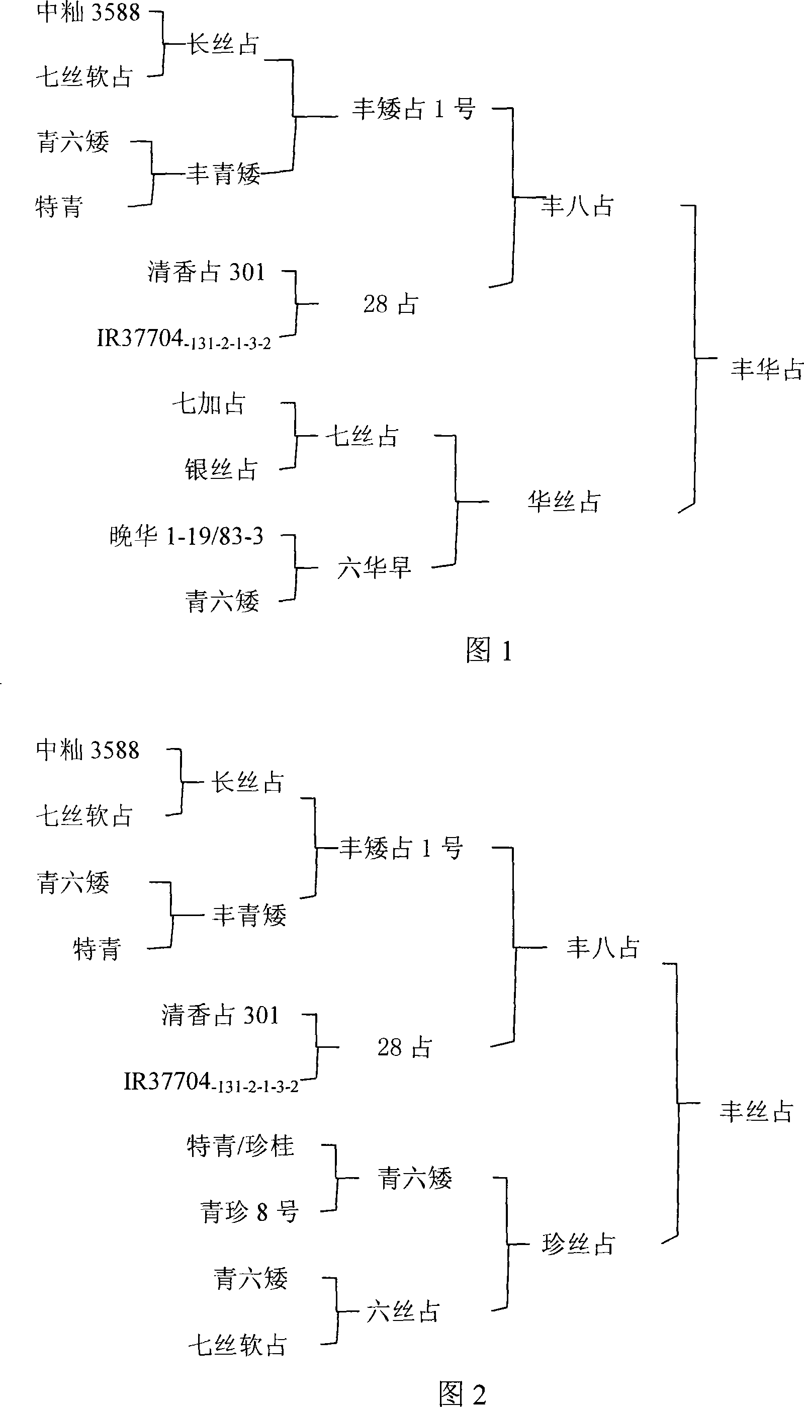 High efficiency rice breeding method