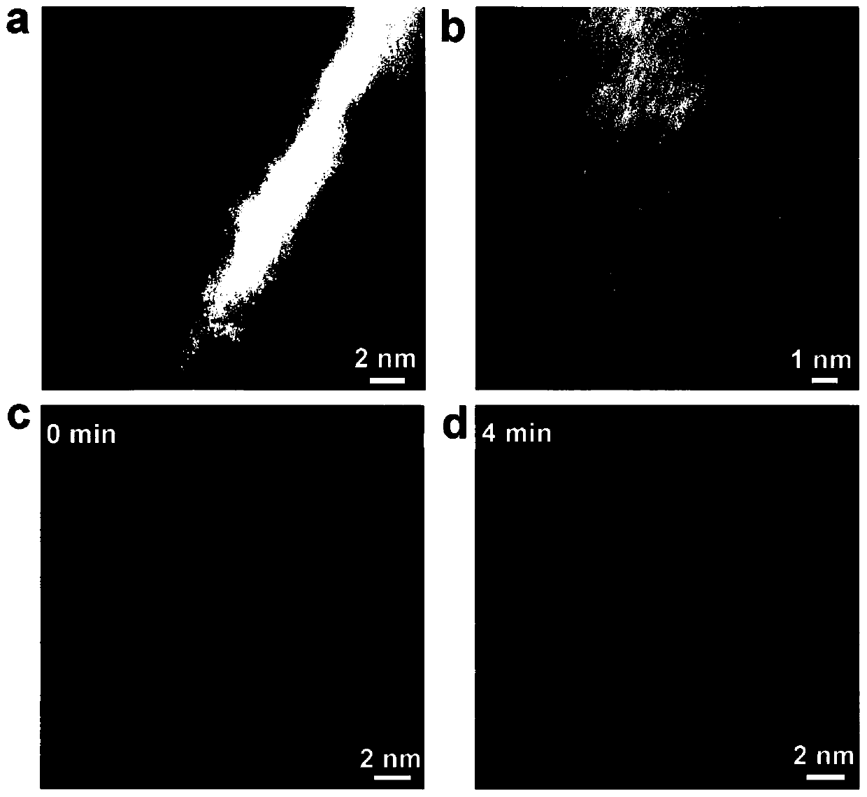 Monatomic catalyst, and preparation method and application thereof